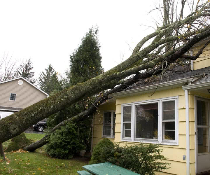 Jenison Roofing Contractors Renaissance Roofing